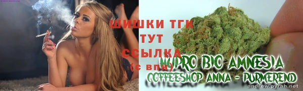 ПСИЛОЦИБИНОВЫЕ ГРИБЫ Богородицк