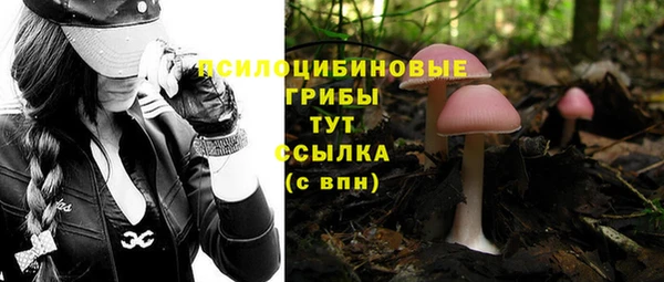 МДПВ Бронницы