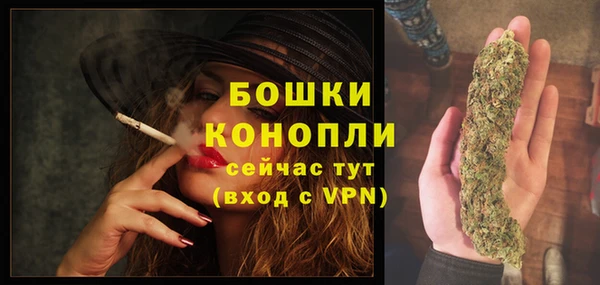 ПСИЛОЦИБИНОВЫЕ ГРИБЫ Богородицк