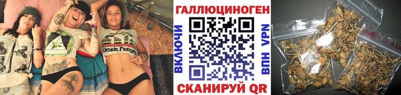 Псилоцибиновые грибы мицелий  купить   Верхняя Пышма 